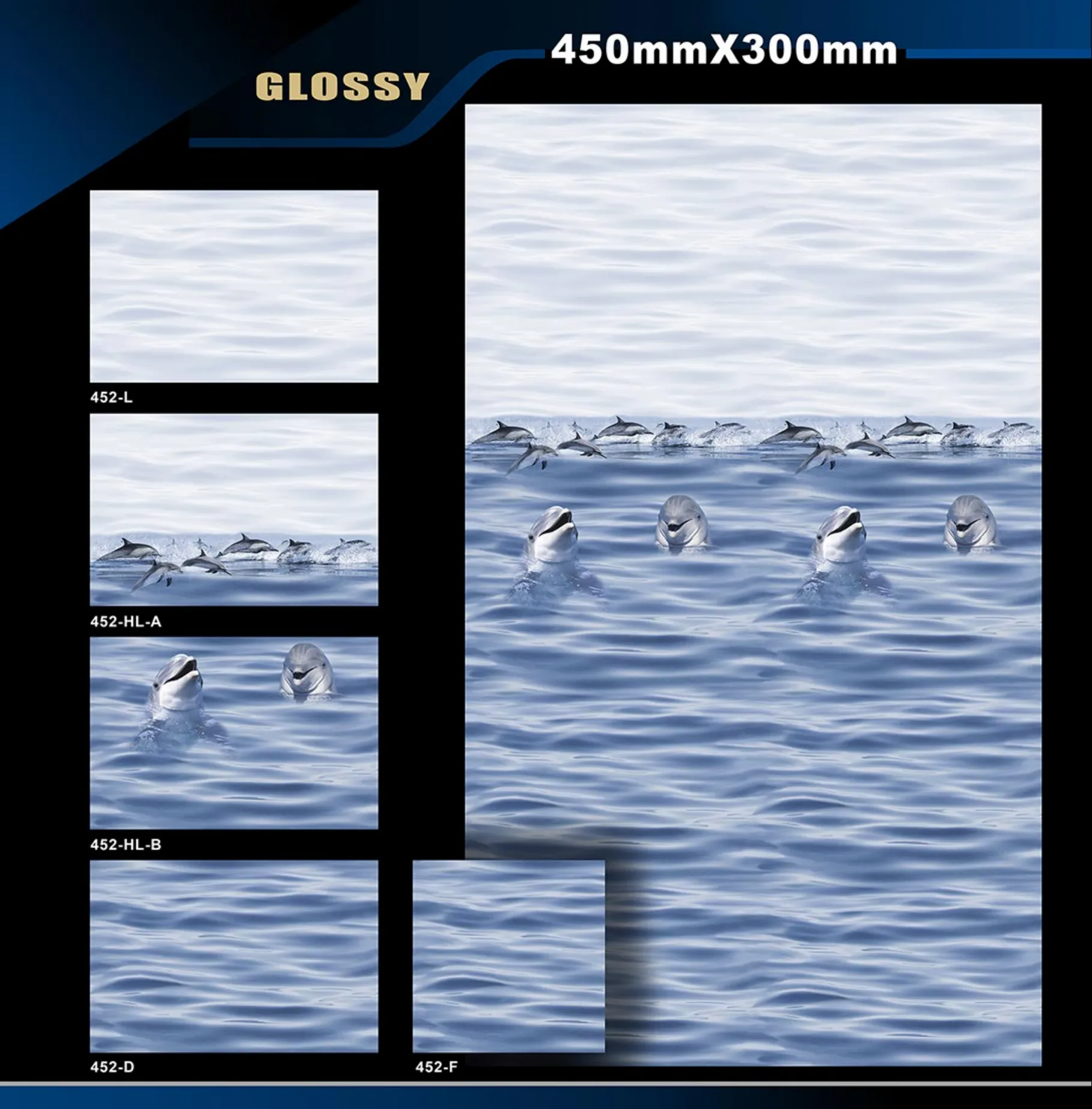 12 X 18 Glossy Poster - Design 23