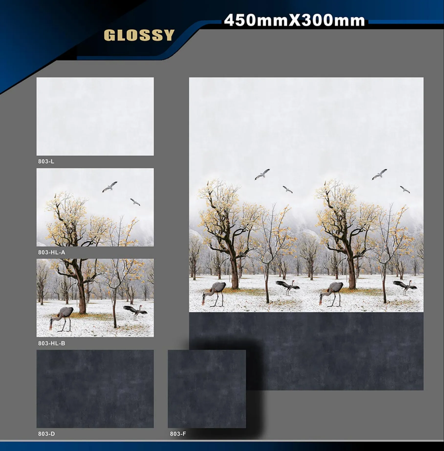 12 X 18 Glossy Poster - Design 63