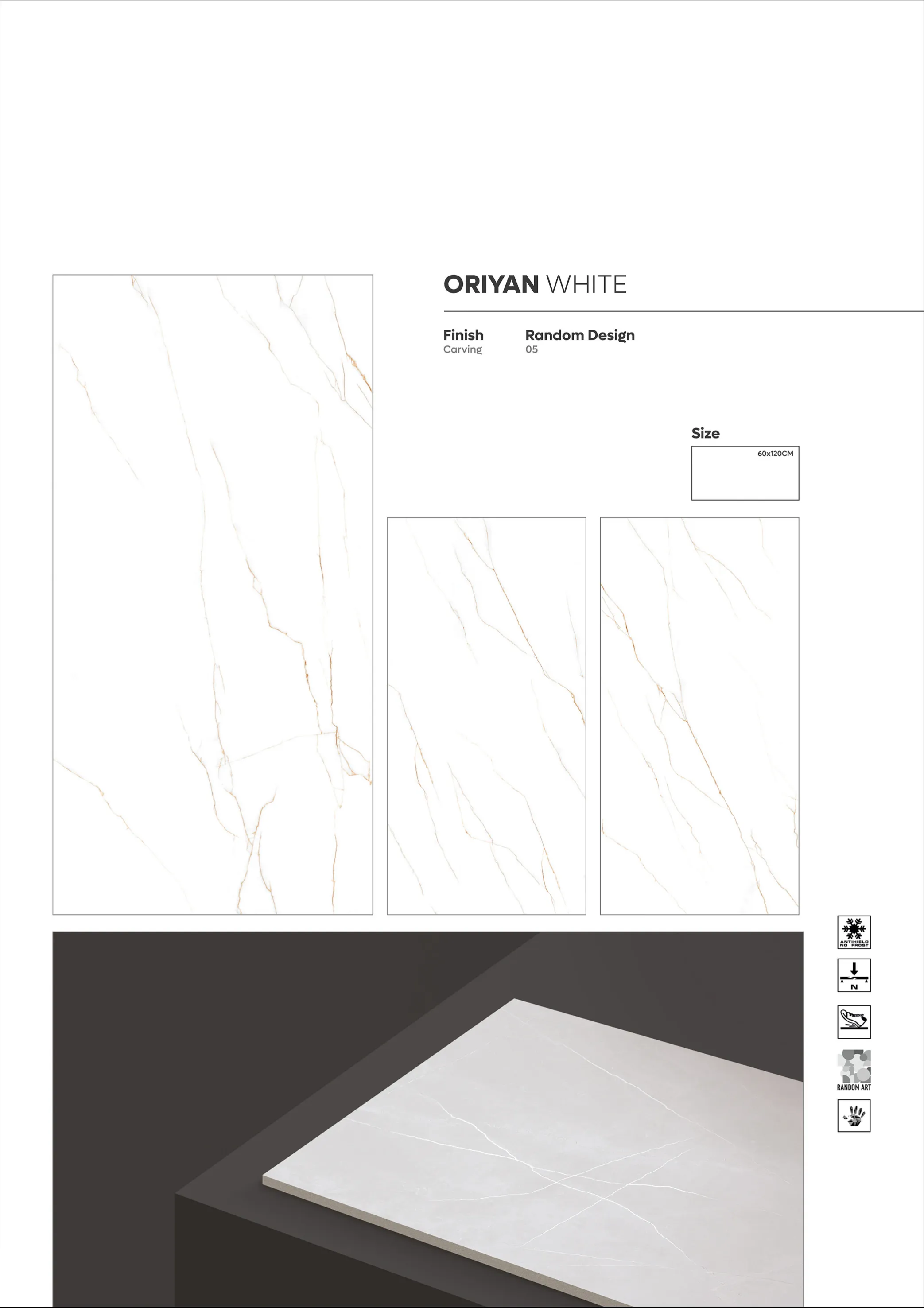 CARVIN SERIES Page 48