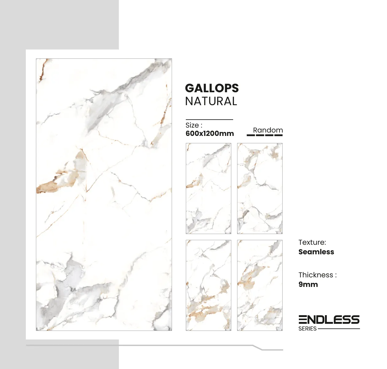 ENDLESS SERIES CATALOUGE Page 14
