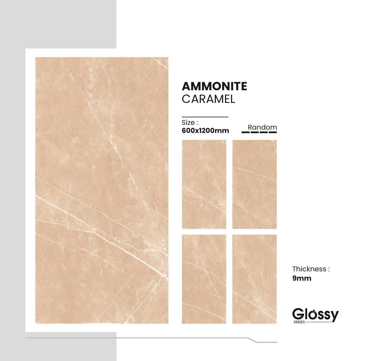 GLOSSY SERIES CATALOGUE Page 10