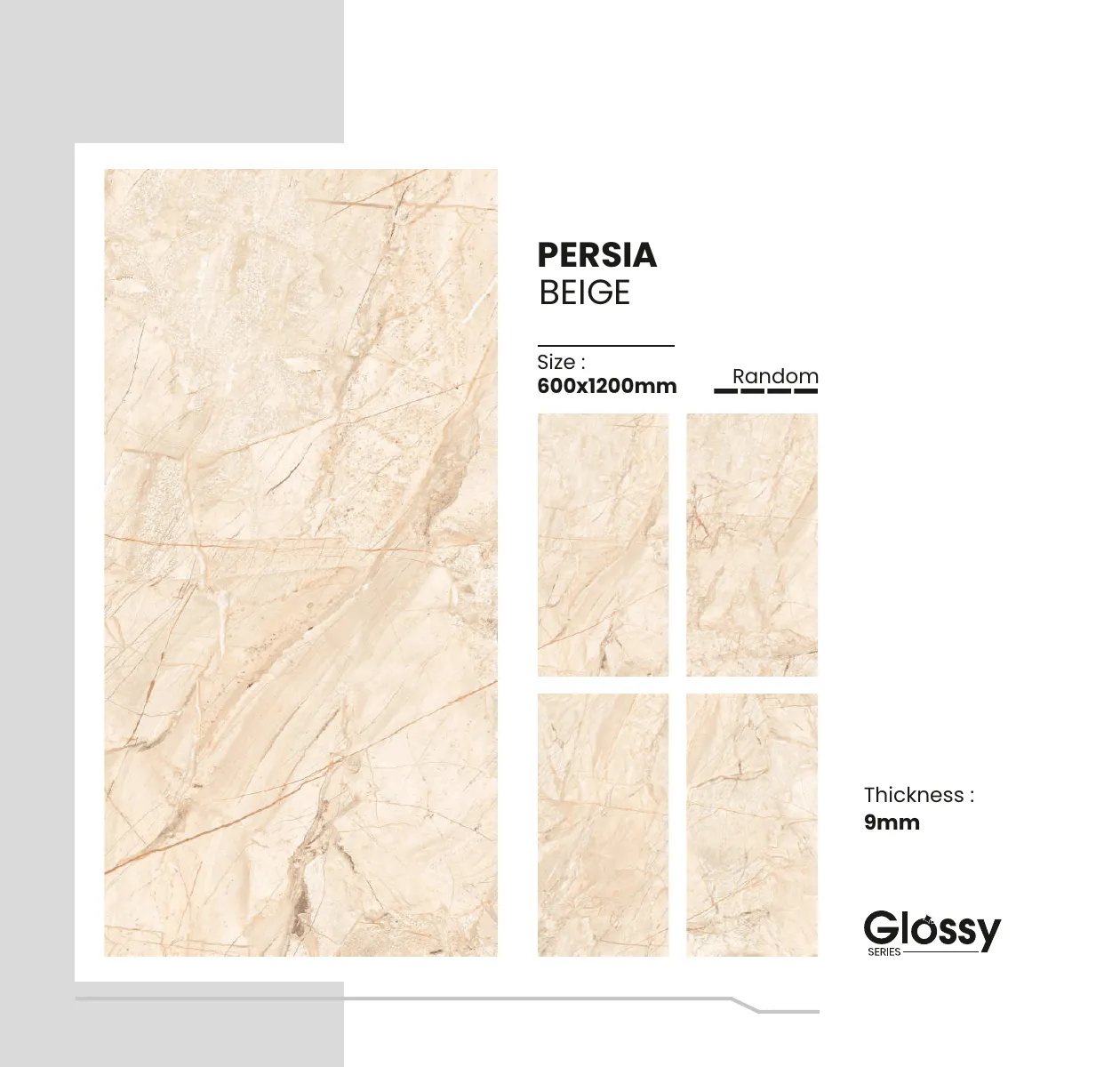 GLOSSY SERIES CATALOGUE Page 119