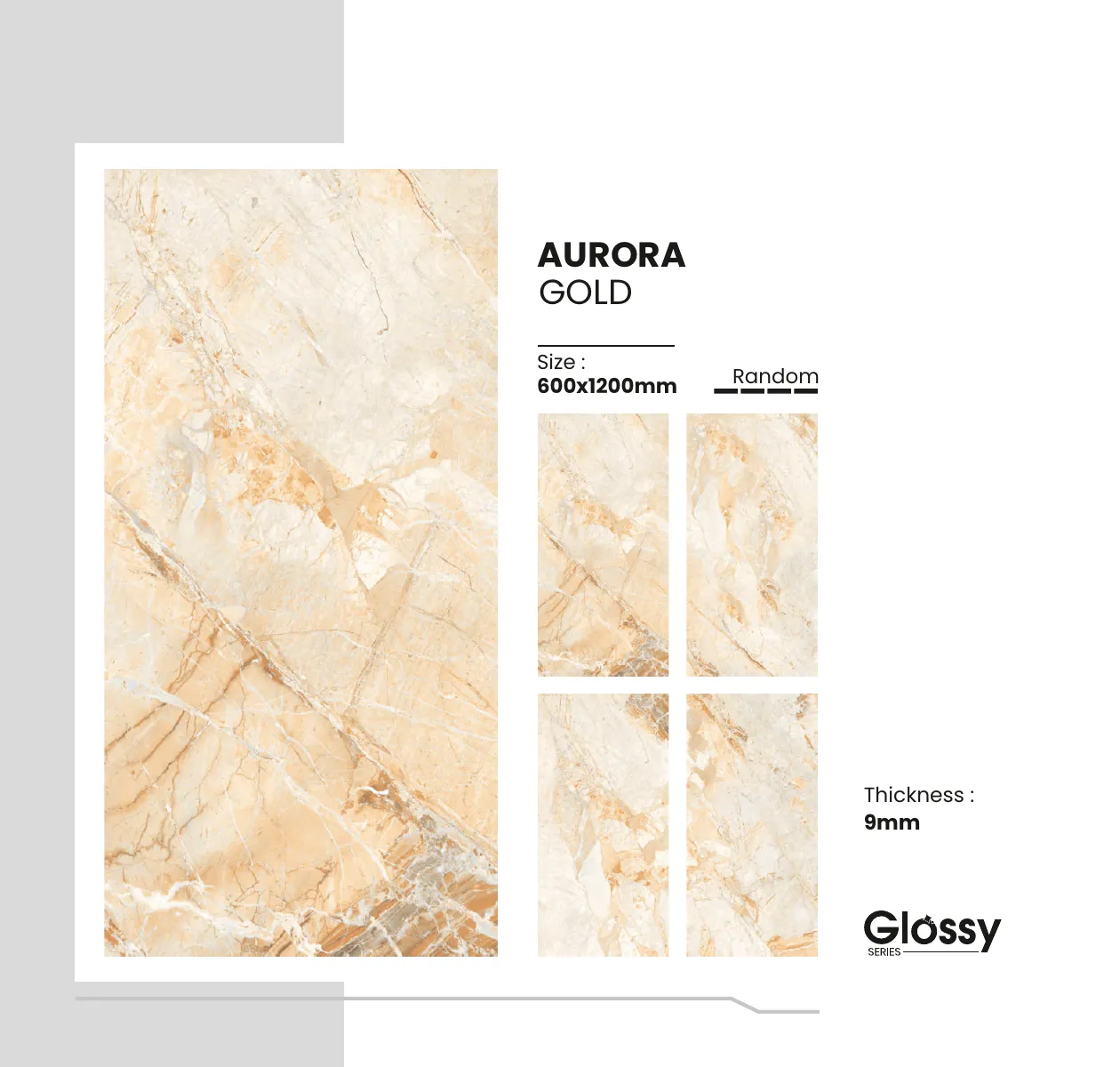GLOSSY SERIES CATALOGUE Page 19