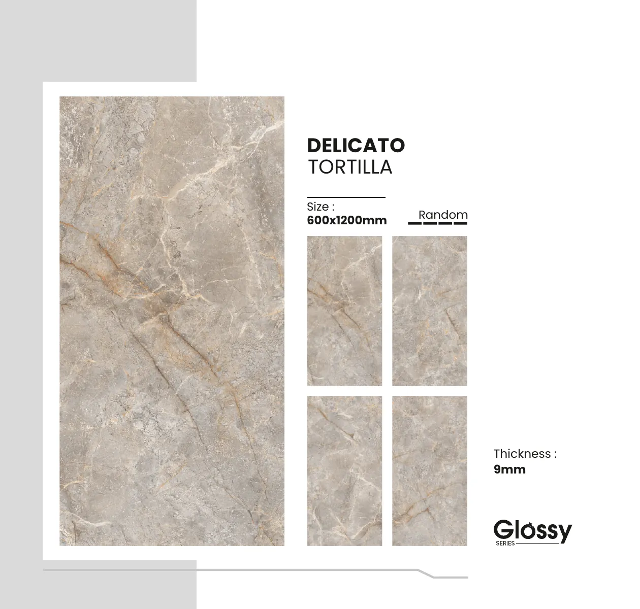 GLOSSY SERIES CATALOGUE Page 50