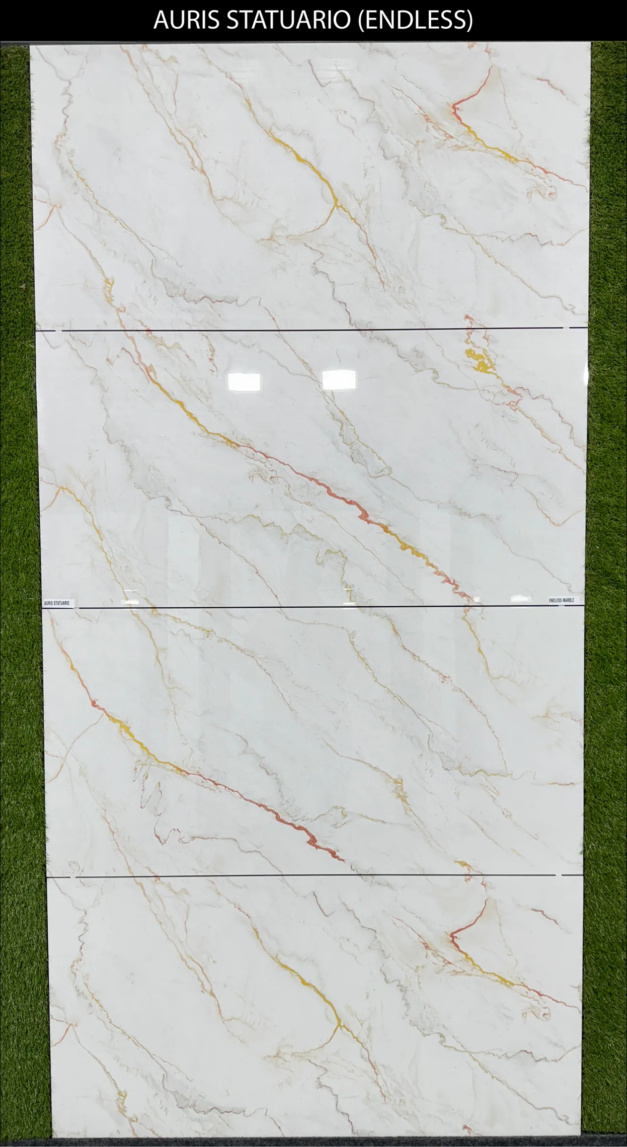 LIVE PHOTO (NEW COLLECTION) Page 21