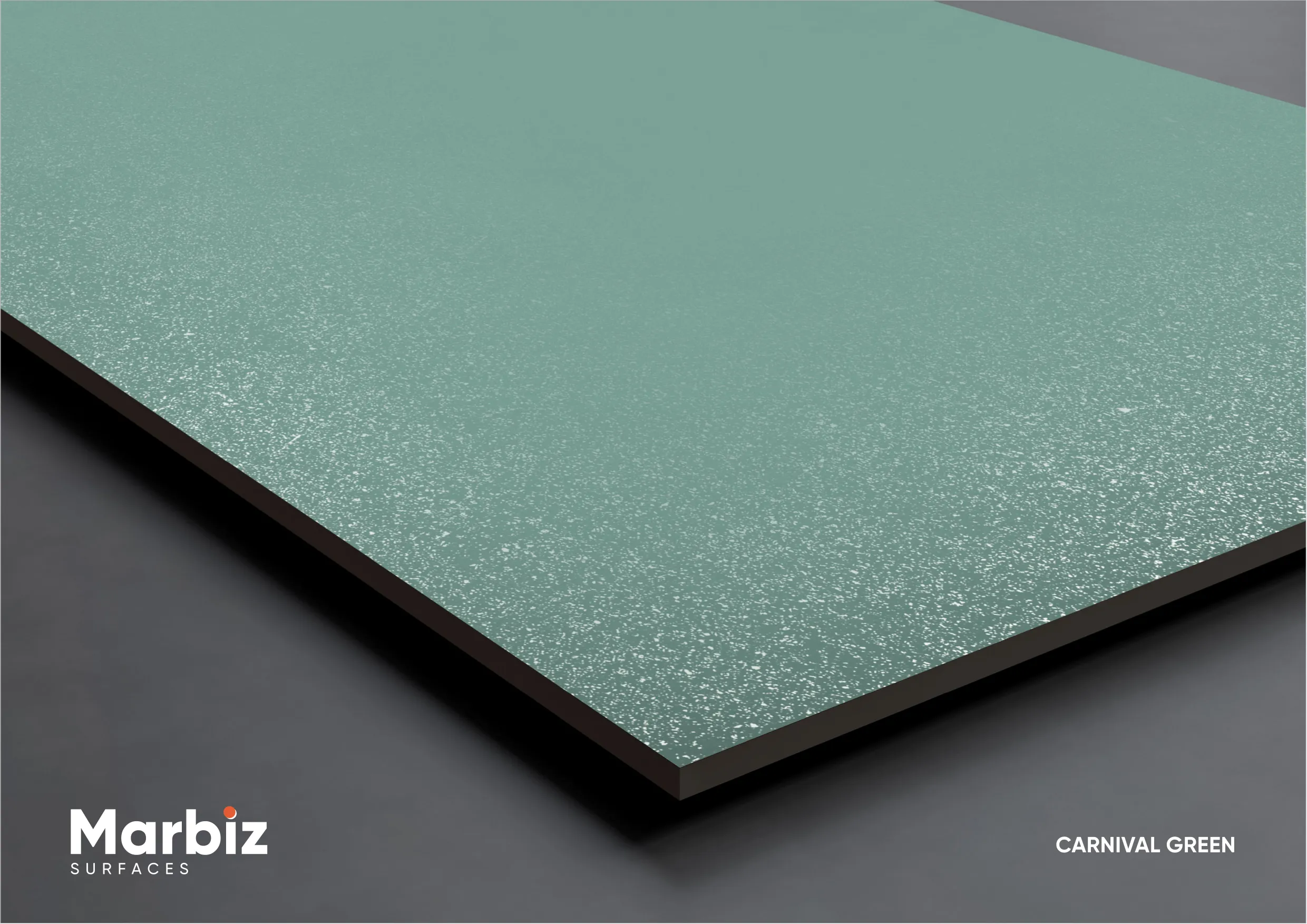 CARNIVAL COLLECTION 600X1200MM Page 13