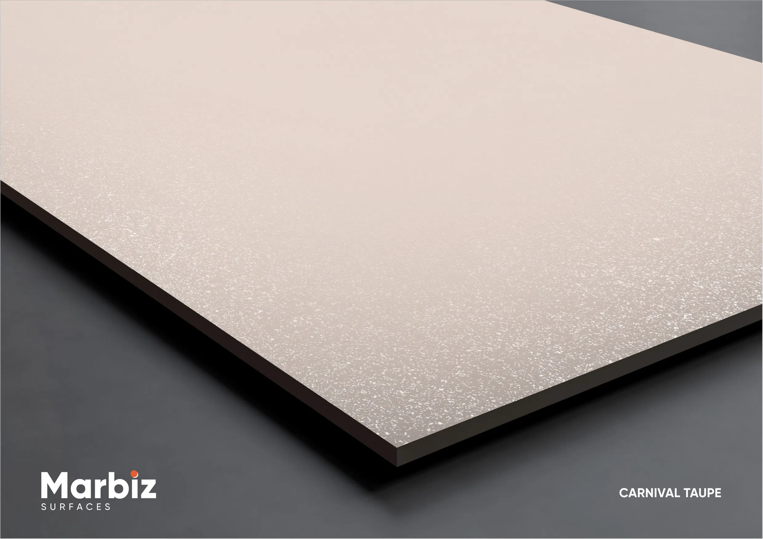 CARNIVAL COLLECTION 600X1200MM Page 19