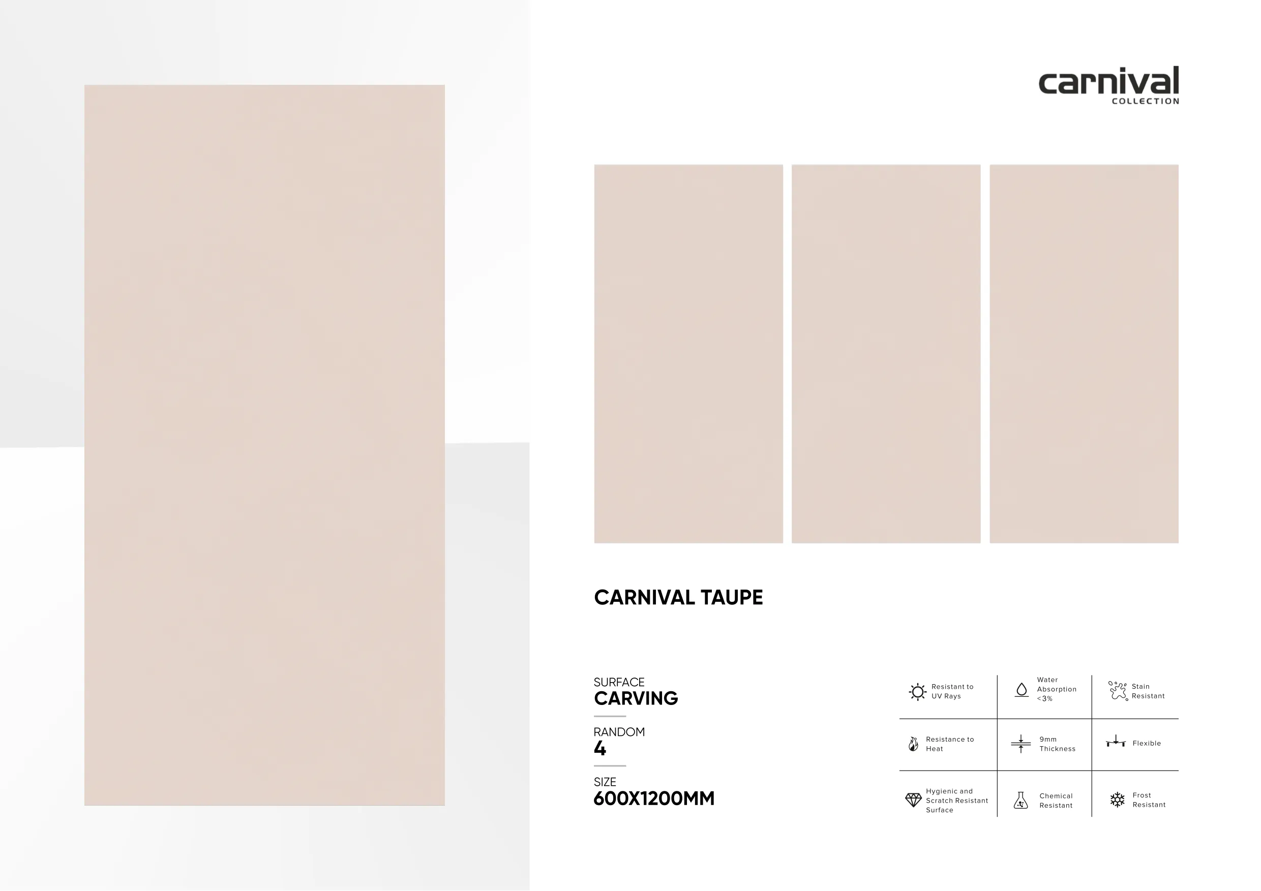 CARNIVAL COLLECTION 600X1200MM Page 20