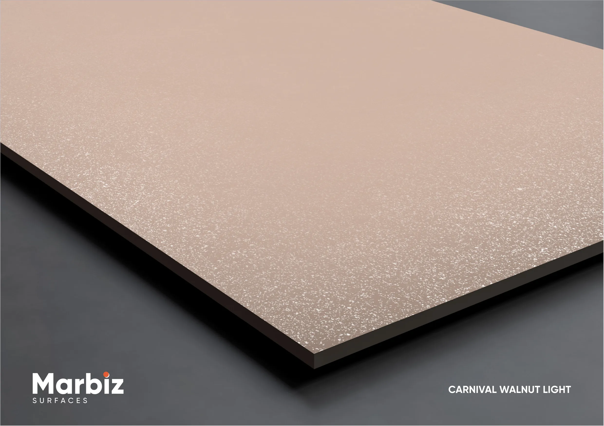 CARNIVAL COLLECTION 600X1200MM Page 21