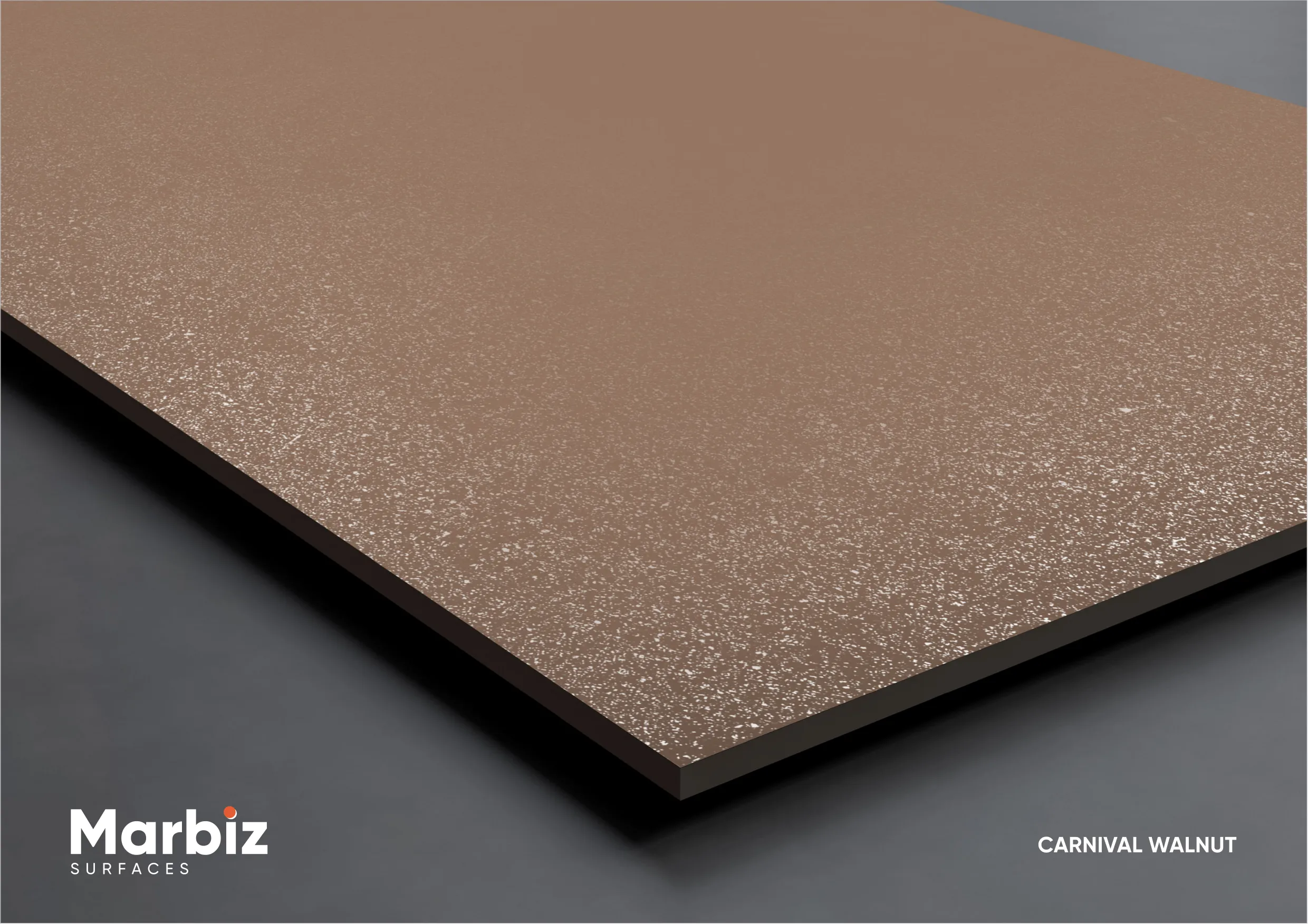 CARNIVAL COLLECTION 600X1200MM Page 23