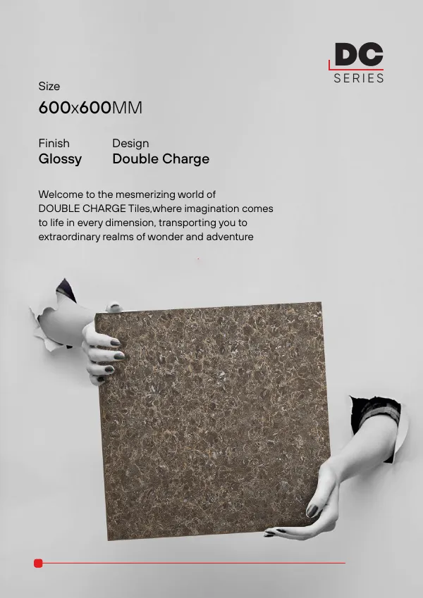 WL DOUBLE CHARGE SERIES 600X600MM Page 2